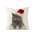 Nordic polyester pillowcase featuring a festive Christmas cat print with a red holiday hat - Cat with Christmas Hat and Cherries (JYM076-8)