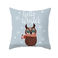 Cartoon owl winter peach skin pillowcase in light blue with hello winter text - Light Blue Owl Hello Winter Style (TPR218-30) / 45*45cm (Insert Not Included)
