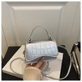 Detailed macro view of metallic silver crossbody bag with premium crocodile embossed texture - Silver