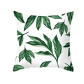 Nordic style green botanical leaf print peach skin square pillow cover for home decor - Watercolor Plant Print (TPR283-17)