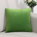 Minimalistisches quadratisches grasgrünes Samtkissen auf einem hellgrauen Sofa - Bezug + Kern / LSR-5-21 Grün