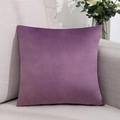 Coussin carré en velours violet foncé sur canapé pour décoration de salon élégante - 45X45cm (Housse Avec Rembourrage) / LSR-11-37 Violet