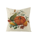 Thanksgiving pumpkin and harvest harvest print decorative polyester pillow cover - Vintage Realistic Pumpkin Corn Fruit (JYM107-9)