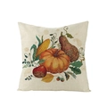 Thanksgiving pumpkin and harvest harvest pattern polyester pillow cover for sofa - Harvest Pumpkin and Long Gourd (JYM107-10)