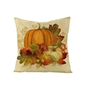 Square Thanksgiving pillow cover featuring autumn pumpkin and maple leaf harvest prints - Harvest Pumpkin and Apple Fruit (JYM107-13)