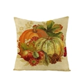 Square Thanksgiving pillow case with orange pumpkin and maple leaf harvest print - Orange Teal Pumpkin Berry Chrysanthemum (JYM107-16)