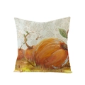 Thanksgiving pumpkin and maple leaf print polyester pillow cover for autumn harvest - Realistic Double Pumpkin Illustration (JYM107-23)