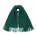 Detail of dark green knit scarf featuring elegant fringe tassels on a white background - Dark Green