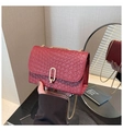 Detail der roten gewebten Handtasche mit goldenem U-Verschluss und Kettengurt - Rot