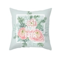 Fodera per cuscino con rose rosa e scritta Best Mom Ever su fondo verde menta - Stile Best Mom Verde Menta (TPR366-18)