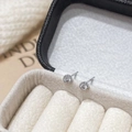 Gros plan de boucles d'oreilles luxe en zircone ronde dans un écrin blanc fini argent S925 - Argent Zircon Blanc