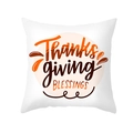 White square Thanksgiving pillowcase with orange Thanksgiving Blessings script print - Thanksgiving BLESSINGS Quote (TPR391-5)