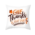 White Thanksgiving pillow cover featuring Give Thanks & Eat Pie artistic text and acorns - GIVE Thanks & EAT PIE (TPR391-6)
