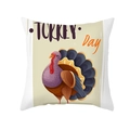 Square Thanksgiving pillow cover with a cartoon turkey print and Turkey Day typography - TURKEY Day Cartoon Turkey (TPR391-27)