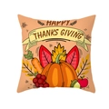 Happy Thanksgiving peach skin pillowcase with pumpkin and autumn fruit illustration - HAPPY THANKS GIVING Fruit and Veggie Basket (TPR391-30)