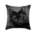 Dettaglio della stampa realistica di gatto nero su federa in pelle di pesca con occhi gialli - Gatto Nero con Occhi Dorati Fronte (TPR412-8)
