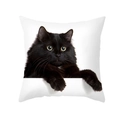 Dettaglio della federa per cuscino in pelle di pesca con stampa di gatto nero - Gatto Nero che Sbircia (TPR412-13)