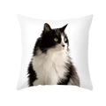 Dettaglio della stampa gatto bianco e nero su federa quadrata bianca in pelle di pesca - Gatto Bianco e Nero con Occhi Verdi (TPR412-15)