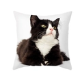 Dettaglio della federa quadrata con stampa ad alta definizione di un gatto tuxedo bianco e nero - Gatto Tuxedo che Guarda in Alto (TPR412-16)