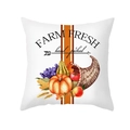 Farm Fresh Pumpkin Harvest Square Pillowcase in White Peach Skin with Autumn Pattern - Farm Fresh Harvest (TPR402-2)