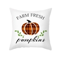White Farm Fresh Pumpkins pillow case with orange plaid pumpkin print for autumn - Farm Fresh Pumpkin (TPR402-5)