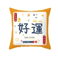 Festive Chinese New Year square pillow cover with Good Luck text and floral patterns - 45x45cm / Good Luck Orange Edge (TPR426-15)