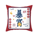 Festive red and white Chinese New Year throw pillow case with lucky wealth text - 45x45cm / Get Rich Style (TPR426-4)