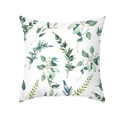 Square peach skin pillowcase featuring a fresh watercolor green leaf print on white - Eucalyptus Wreath Design (TPR472-8) / 45x45CM (No Core)