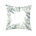 Square peach skin pillowcase with eucalyptus leaf print for minimalist home decor - Eucalyptus Border Style (TPR472-20) / 45x45CM (No Core)