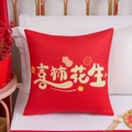 Red square velvet pillow featuring golden Xi Shi Hua Sheng calligraphy and festive patterns - Happy Things Persimmon (Cover + Core)