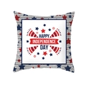 Housse de coussin Happy Independence Day avec imprimé feux d'artifice et étoiles - Radiant Fireworks (TPR475-26)