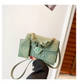 Close-up of mint green pleated handbag with crocodile pattern and mini card pouch - Green