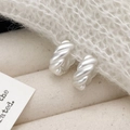 Dettaglio di piccoli orecchini a cerchio intrecciati in argento opaco su maglia - Argento opaco
