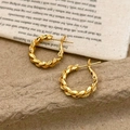 Macro view of gold twisted hoop earrings with textured vintage aesthetic and secure clasp - Gold