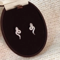 Macro shot of silver snake earrings with pavé crystals in a velvet jewelry box - Silver