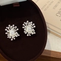 Elegant silver fireworks zircon stud earrings displayed in a luxury velvet jewelry box - Silver White Zircon