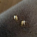 Detail der gold-weißen C-förmigen Muschelohrringe mit Rautenmuster auf weichem Pelz - Goldene Doppelreihige Ohrringe
