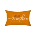 Orange lumbar pumpkin pillow cover with Hello Pumpkin text for autumn holiday decor - 30*50cm (Insert Not Included) / Orange Hello Pumpkin Print (JYZ006-3)