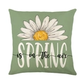 Green spring pillow cover with white daisies and 'SPRING is in the air' text print - Spring Breath Sage Green Daisy Style (JYM562-2)