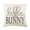 Minimalist square cotton linen Easter pillow cover with pink bunny and hello BUNNY print - Hello Bunny Letter And Pattern Style (JYM581-3) / 45x45cm