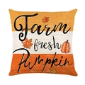 Farm fresh Pumpkin decorative fall pillowcase with maple leaves and digital print - Jym609-3 / 45x45 Square (No Insert)