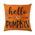 Orangefarbener Kissenbezug mit Kürbismotiv und hello PUMPKIN Aufdruck für Thanksgiving - Hello Pumpkin Text Stil (JYM616-3)