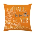 Fodera per cuscino arancione autunnale con zucca e scritta Fall is in the Air - Stile Testo d'Arte Arancione FALL is in the AIR (JYM618-3)