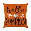 Federa arancione autunnale con stampa hello PUMPKIN e design a zucca scozzese - 45*45cm (Inserto non incluso)