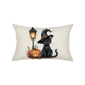 Halloween black cat and pumpkin polyester decorative pillow cover for sofa - Black Cat Wizard Hat White Base (JYZ015-6) / 30*50cm (Insert Not Included)