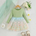Girls long-sleeve princess dress with green top and colorful floral mesh tulle skirt - 1-2Y / Light Green
