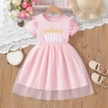 Pink birthday girl dress with ruffle sleeves and layered tulle skirt for toddler girls - Pink / 90cm