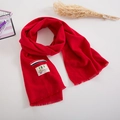 Detail of red knit scarf with fringe trim, striped ribbon and cute bear patch decoration - Red