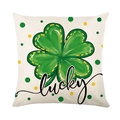 Κάλυμμα μαξιλαριού Saint Patrick με πράσινο τριφύλλι και καλλιτεχνικό Lucky - Μονό Τριφύλλι Lucky Quote (JYM698-1)