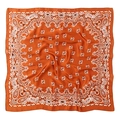 Elegant burnt orange paisley silk-like square scarf, versatile 70cm fashion neckerchief - 70x70cm / Rust Red